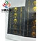 Primo Pharma GOLD Ştampalı Paketleme Hologram 10ml Şişe Etiketi
