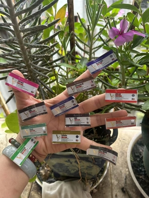 Çeşitli Peptid Ürünleri İçin 2 ml Şişe Etiketleri Yuvarlak Altın Baskı ile