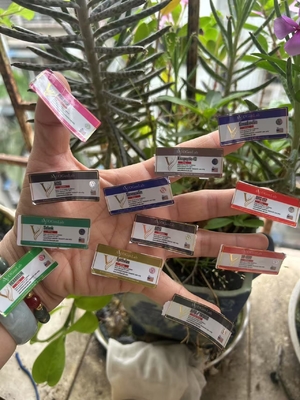 Çeşitli Peptid Ürünleri İçin 2 ml Şişe Etiketleri Yuvarlak Altın Baskı ile